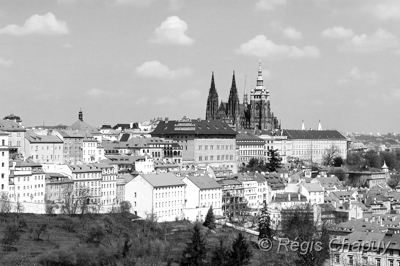 Pragues (10).jpg
